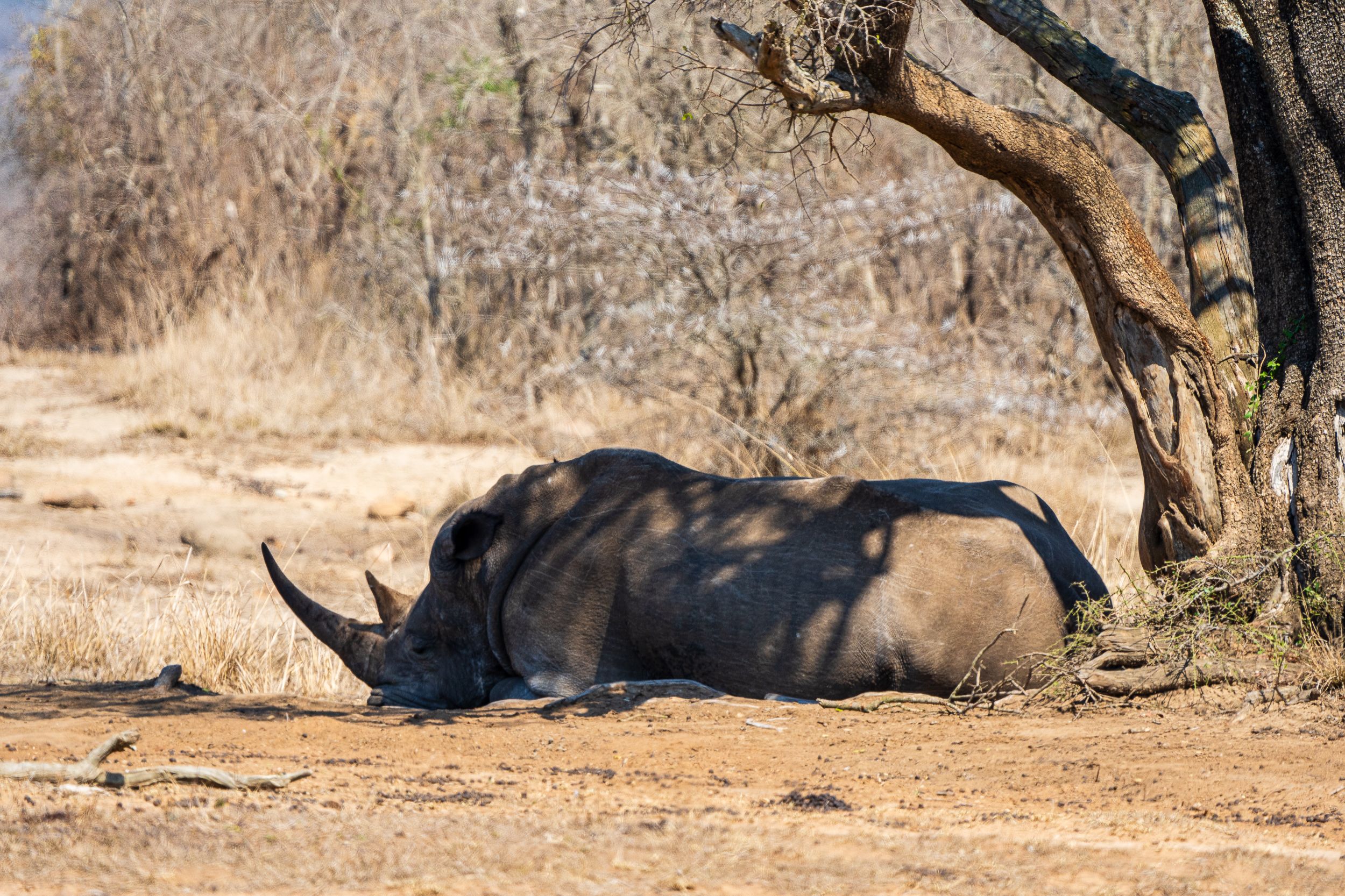 20230929 100257 Fotobuch Südafrika 04220